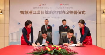 日照企業(yè)創(chuàng)奇跡 90天吞吐億噸，信息服務(wù)助力利潤突破4億