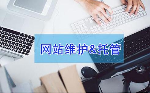 廣州黑米科技 專業(yè)信息咨詢服務(wù)賦能企業(yè)數(shù)字化轉(zhuǎn)型